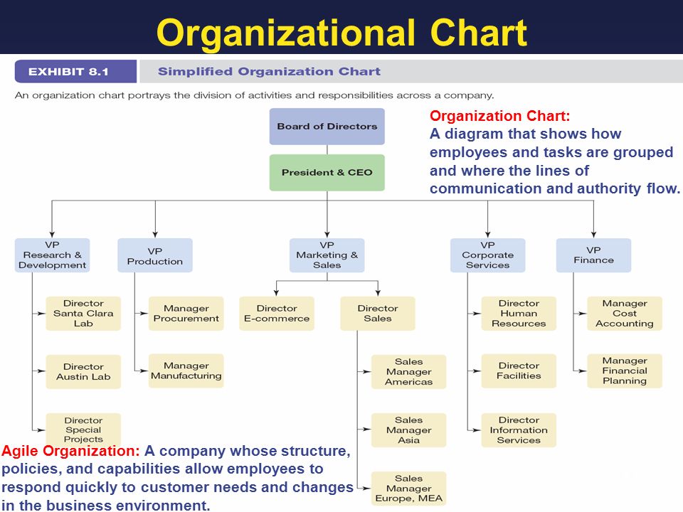 Forms of Organisational Structure: Line , Functional, and Line and Staff Organisation